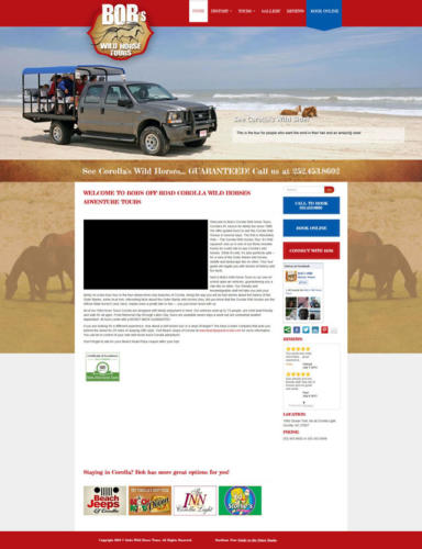 Bob's Wild Horse Tours